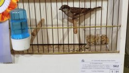 65_OŠS_Sombor_2024_22