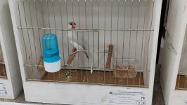 48_Sajam_Sombor_2025_22